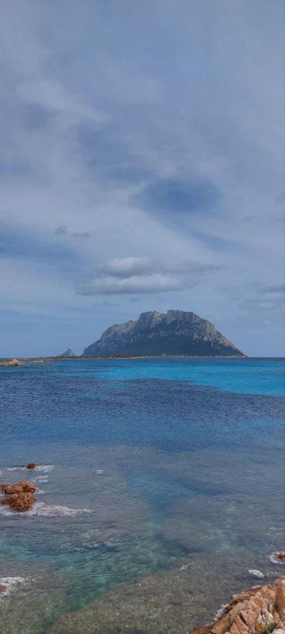 Porto San Paolo A 50 Mt Dal Mare别墅 客房 照片