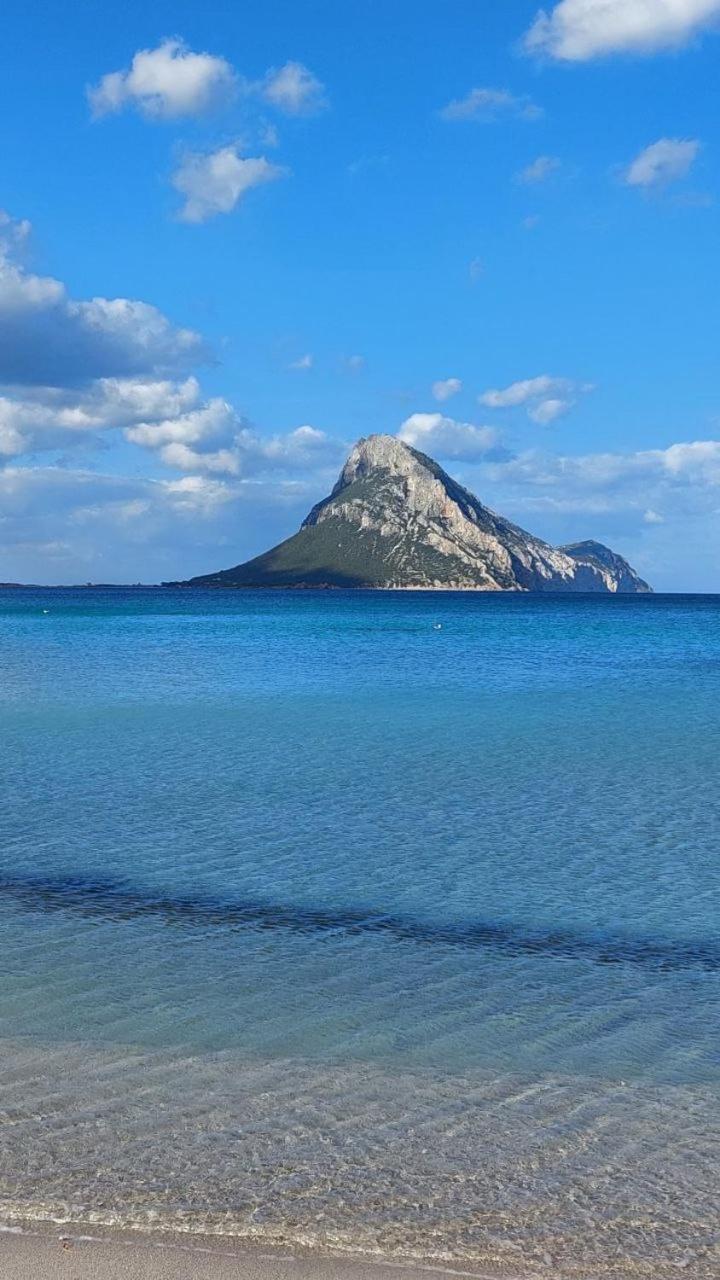 Porto San Paolo A 50 Mt Dal Mare别墅 客房 照片