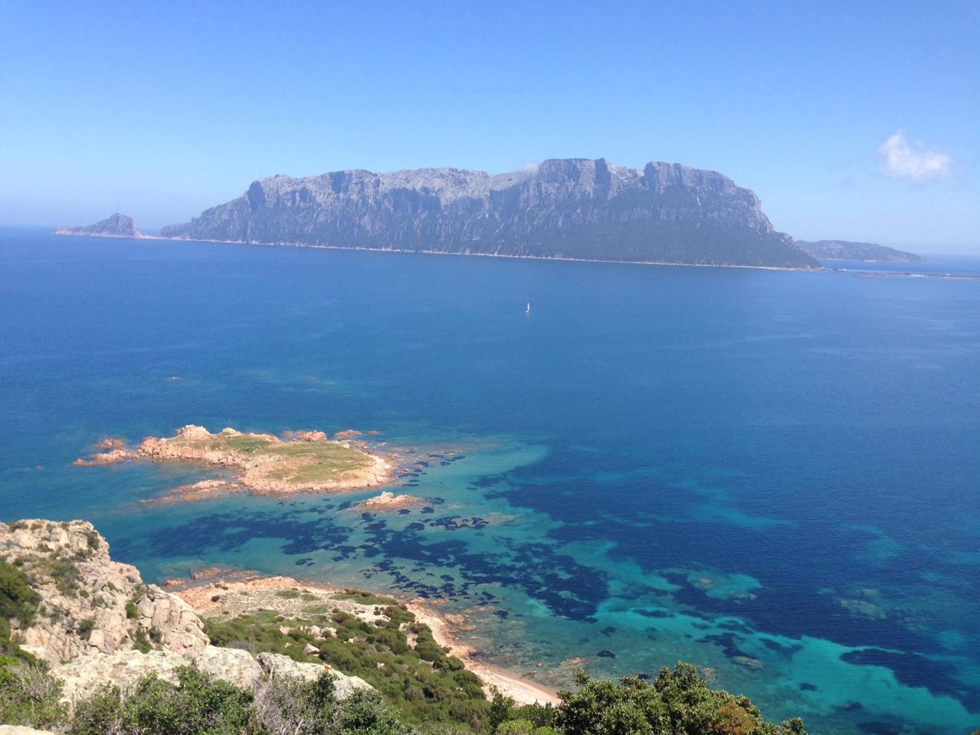 Porto San Paolo A 50 Mt Dal Mare别墅 客房 照片
